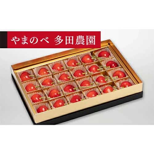 【ふるさと納税】≪2025年 先行予約≫さくらんぼ 珠玉の紅秀峰 みやび箱詰 24粒「やまのべ多田農園」 F2Y-1373