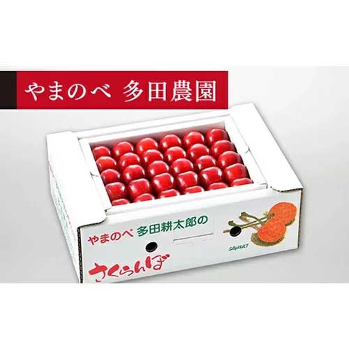 【ふるさと納税】≪2025年 先行予約≫さくらんぼ 紅秀峰 手詰 約500g「やまのべ多田農園」 F2Y-1375