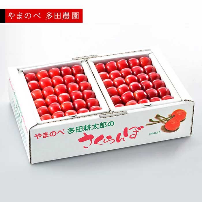 【ふるさと納税】≪2025年 先行予約≫さくらんぼ 紅秀峰 手詰  1kg(約500g×2)「やまのべ多田農園」 F2Y-1391