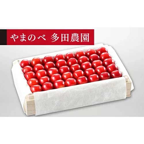 【ふるさと納税】≪2025年 先行予約≫さくらんぼ 特選紅秀峰 桐箱詰 約700g「やまのべ多田農園」 F2Y-1393