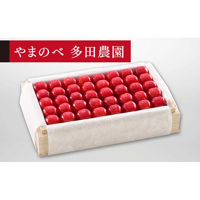 【ふるさと納税】≪2025年 先行予約≫さくらんぼ 特選「真夏のルビー紅姫」 桐箱詰 約700g「やまのべ多田農園」 F2Y-1394