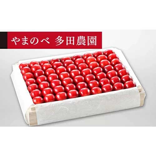 【ふるさと納税】≪2025年 先行予約≫さくらんぼ 特選「真夏のルビー紅姫」桐箱詰 約1100g「やまのべ多田農園」 F2Y-1400