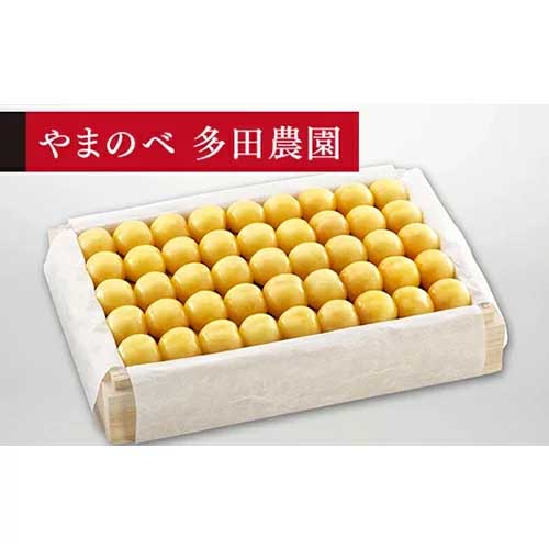 【ふるさと納税】≪2026年 先行予約≫さくらんぼ 特選月山錦 桐箱詰 1100g「やまのべ多田農園」 F2Y-1402