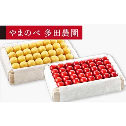 【ふるさと納税】≪2026年 先行予約≫さくらんぼ 月山錦・紅秀峰 特選桐箱詰 700g×2「やまのべ多田農園」 F2Y-1403