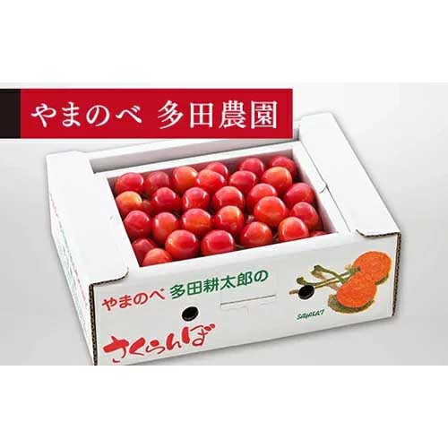 【ふるさと納税】≪2026年 先行予約≫佐藤錦 バラ詰 Lサイズ 500g「やまのべ多田農園」 F2Y-1368