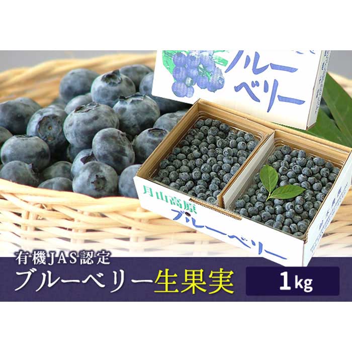 【ふるさと納税】 《先行予約 2025年度発送》《数量限定・期間限定》有機JAS認定 栽培ブルーベリー 生果実 1kg FSY-0146