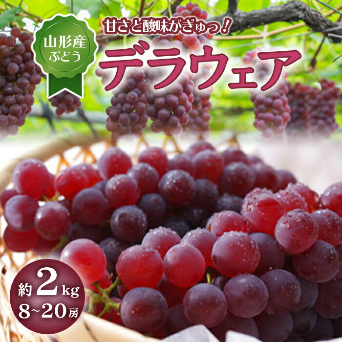 楽天市場 ふるさと納税 ぶどう くだもの 果物 島根県産 B243 デラウェア ２ｋｇ 島根県大田市