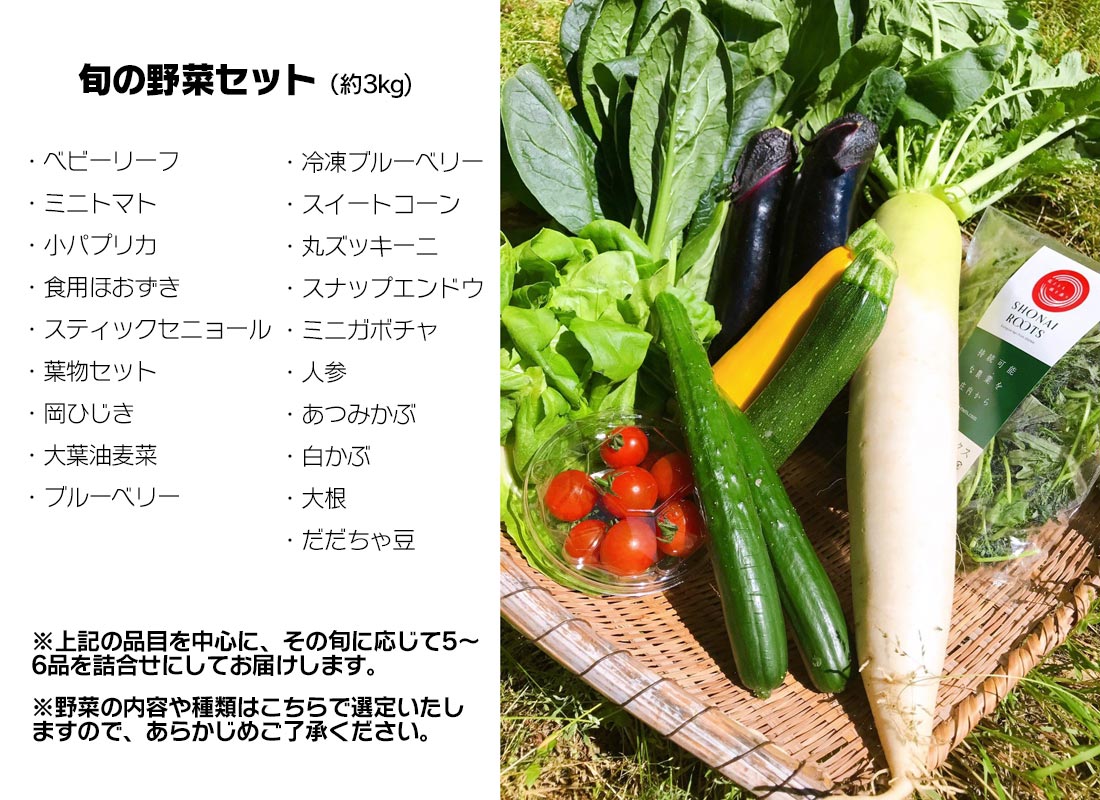 ふるさと納税 Shonai Rootsセゾンのこだわり野菜一揃いほとんど3kg 青物 根菜 果菜毛色 Lapsonmexico Com