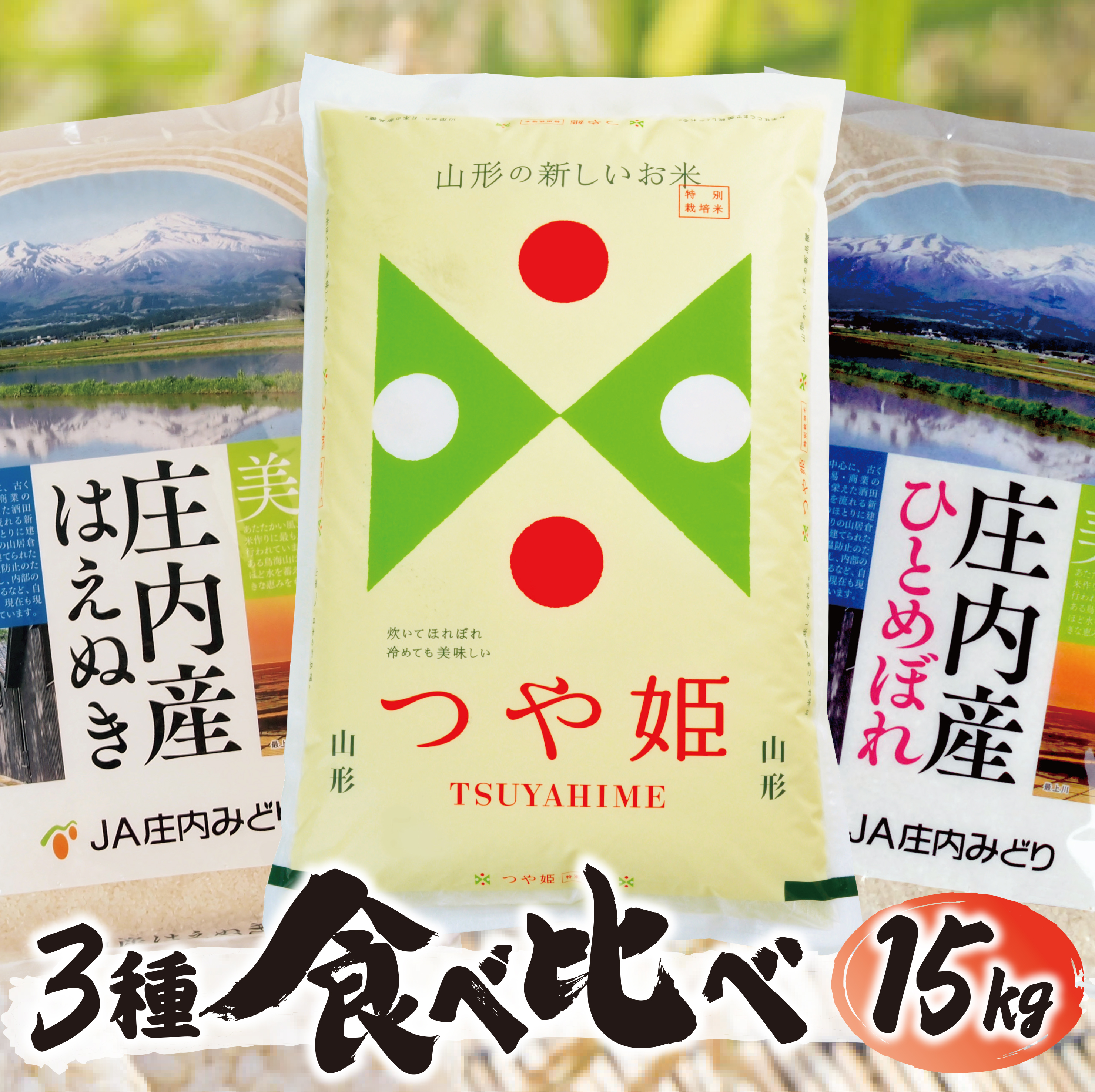 即納送料無料! ✨令和4年産✨山形県庄内産✨つや姫✨20kg