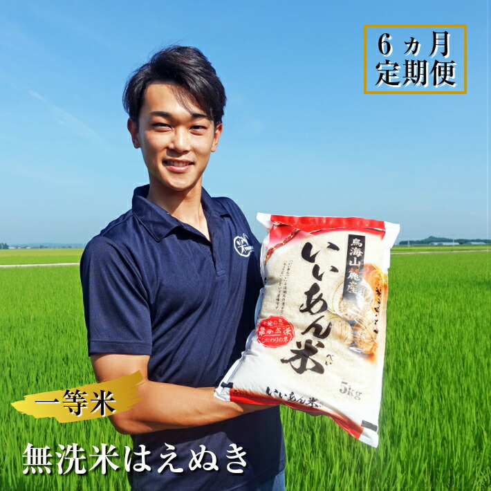 楽天市場 ふるさと納税 米 定期便 5kg 12ヶ月 令和3年 白米 31 05z 12ヶ月連続お届け 新潟県産コシヒカリ5kg 新潟県胎内市