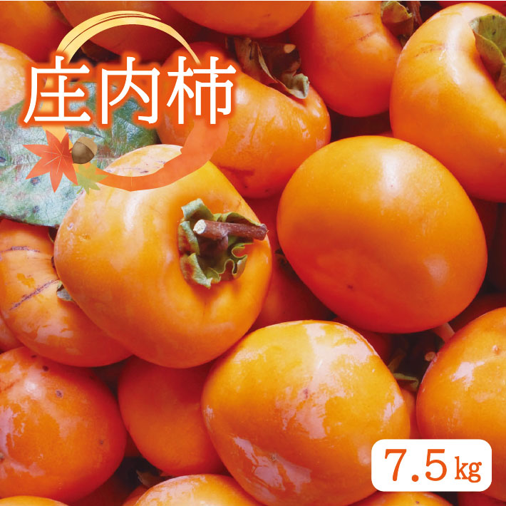 【ふるさと納税】庄内柿 約7.5kg 山形県酒田産 10月下旬～11月中旬頃お届け ※着日指定不可 柿 かき カキ 種無し 平核無柿 果物 フルーツ 秋 東北 山形県 酒田市 庄内