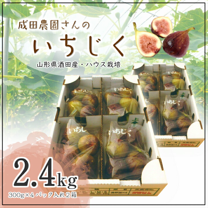 上品な大人の甘さ ふるさと納税 イチジク 冷蔵便 ハウス栽培いちじく フルーツ 果物 約2 4kg 300g 4パック入り2箱 ご希望の時期頃お届け 着日指定 離島発送不可 山形県酒田市 冷蔵便 上品な大人の甘さ ふるさと納税 イチジク 冷蔵便 ハウス栽培いちじく フルーツ 果物 約2 4kg 300g 4パック入り2箱 ご希望の時期頃お届け 着日指定 離島発送不可 山形県酒田市 冷蔵便