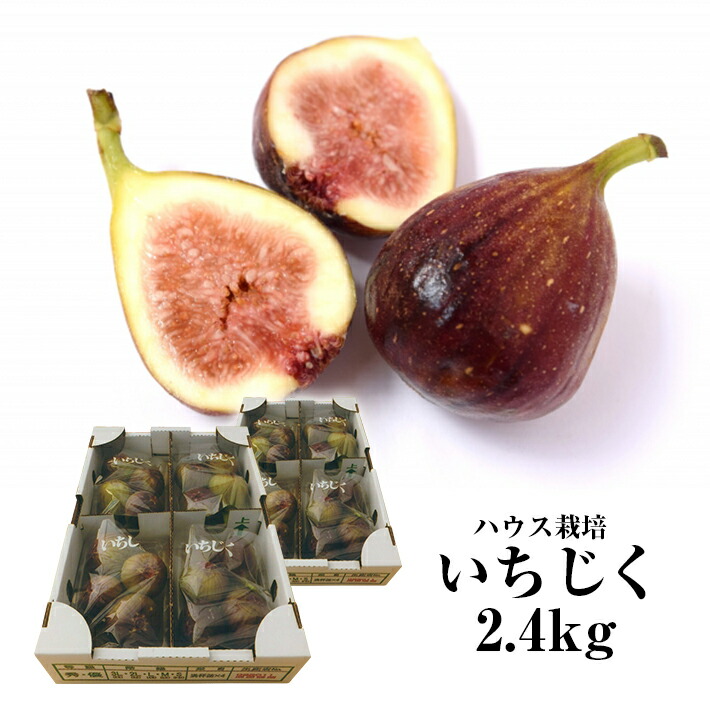 楽天市場 ふるさと納税 ハウス栽培いちじく 約2 4kg 300g 4パック入り2箱 ご希望の時期頃お届け 冷蔵便 離島発送不可 山形県酒田市
