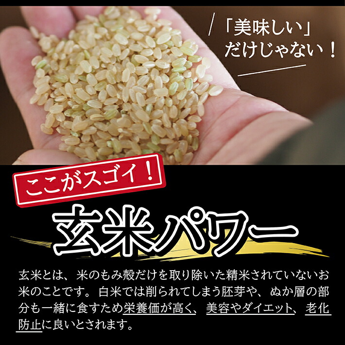 市場 ふるさと納税 玄米 令和3年産米 東北 ※着日指定不可 はえぬき 計10kg 山形県酒田産 5kg×2袋