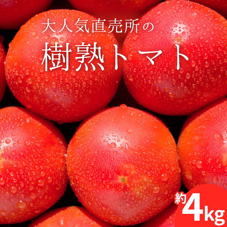 楽天市場】【ふるさと納税】 チーズ 詰め合わせ よじゅえもん 送料無料 受賞 銅賞 カチョカバロチーズ ストリングチーズ モッツァレラチーズ ひとくち チーズ 生チーズ カッテ−ジチーズ : 千葉県いすみ市