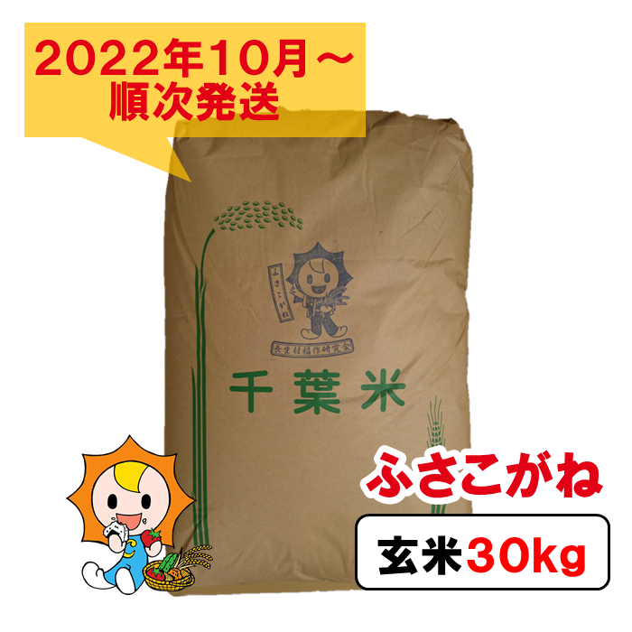 楽天市場】【ふるさと納税】令和4年産 ミルキークイーン 30kg 新米予約 千葉県 長生村 新米 玄米 石抜き 色彩選別機処理済 : 千葉県長生村