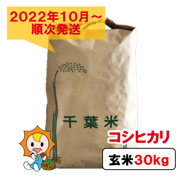 人気特価激安 令和4年産 コシヒカリ 30kg 新米予約 千葉県 長生村 新米 玄米 石抜き 色彩選別機処理済 fucoa.cl