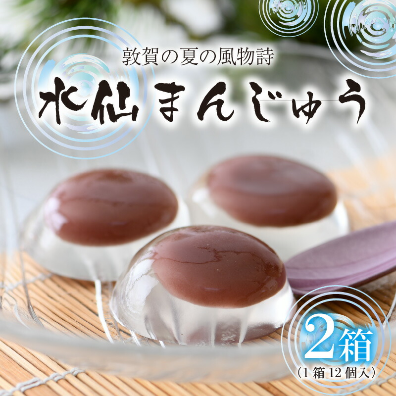 福井県敦賀市 その他 お中元対応承ります 和菓子 水仙饅頭 009 A009 ふるさと納税 敦賀の夏の風物詩 水仙饅頭 2箱 1箱12個入り 和菓子 水まんじゅう 御中元 福井県敦賀市