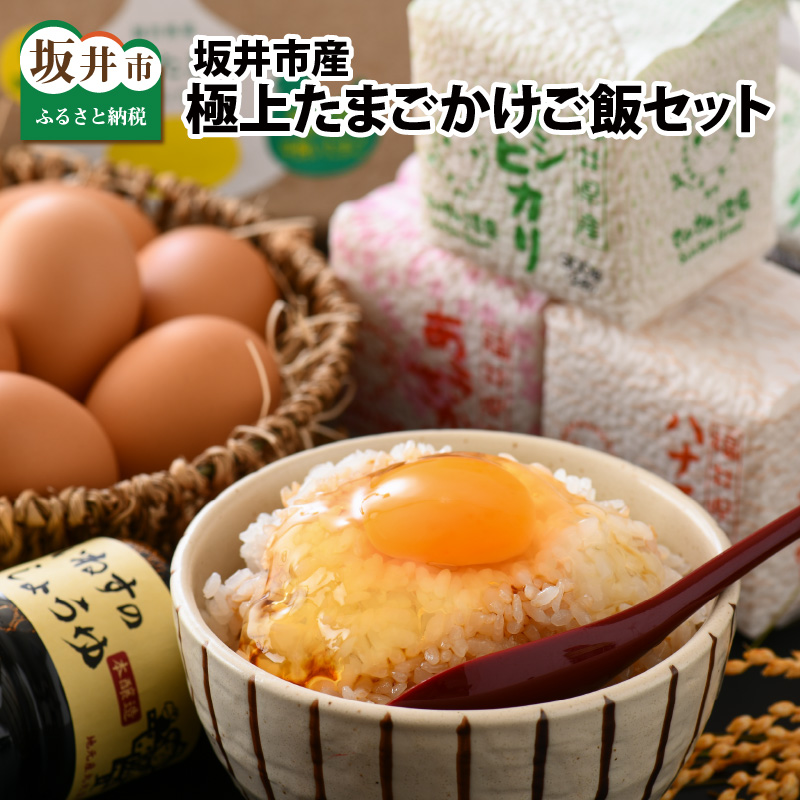 【ふるさと納税】坂井市産極上たまごかけご飯セット ～坂井平野の恵み～