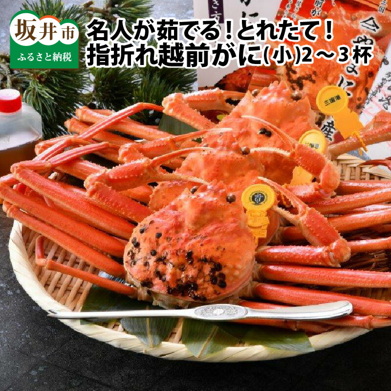 【ふるさと納税】【先行予約】名人が茹でる とれたて指折れ越前がに(小) 2~3杯 越前ガニ ズワイガニ 蟹 かに カニ 傷 足折れ 国産 県産 訳あり 訳アリ【2026年11月~2027年3月発送】|福井県坂井市