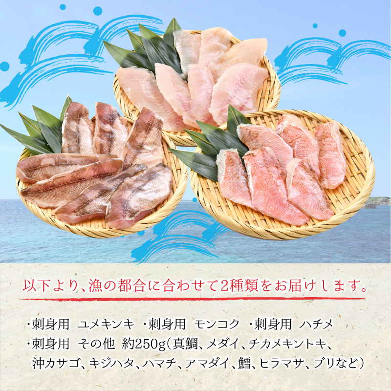 楽天市場 ふるさと納税 とれピチ鮮魚のアレンジ用 皮付き 250g 2種 越前三国港 漁船 神力丸 船長がお届け 福井県坂井市