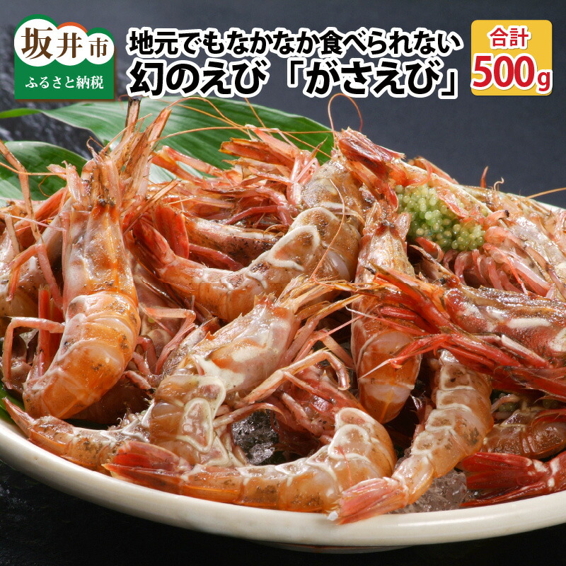 福袋 送料無料 越前エビ がすえび 地元でもなかなか食べられない幻のえび 500g 魚貝類 魚介類 がさえび ガスエビ 魚介類・水産加工品