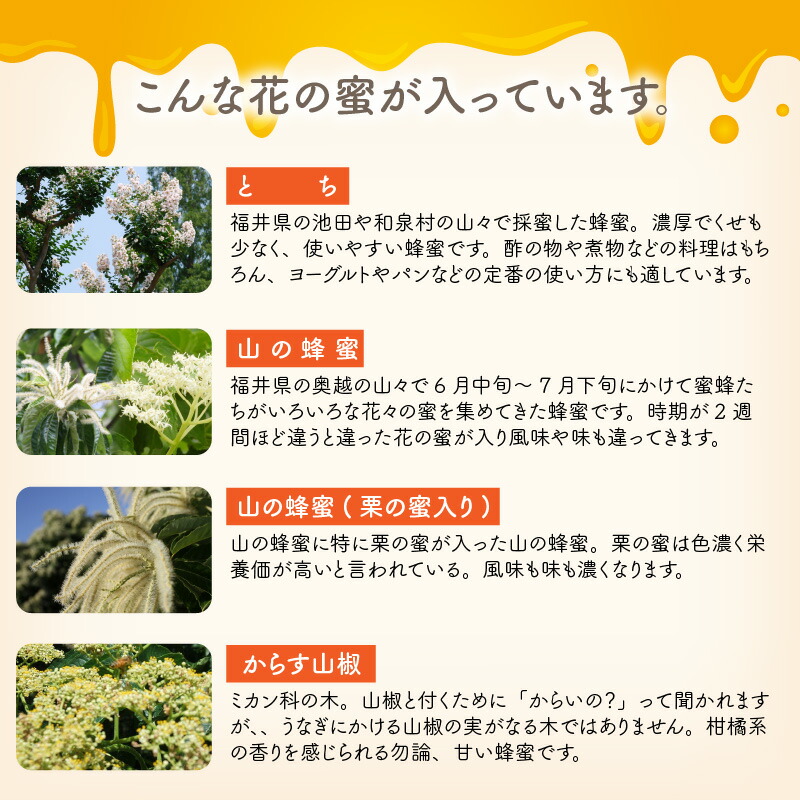 代引き手数料無料 福井県産はちみつ 4種 食べ比べセット とち 山の蜂蜜 山の蜂蜜 栗の蜜入り からす山椒 福井県坂井市 人気満点 Www T9nia Com