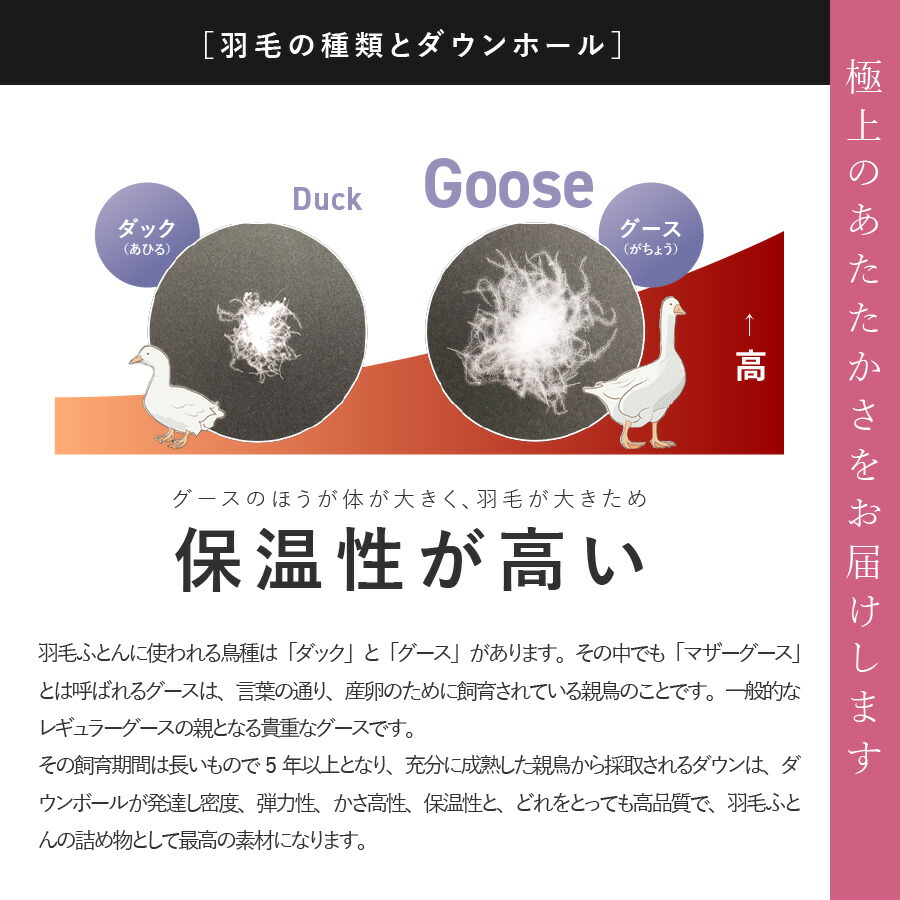 羽毛布団 掛け布団 ゴールドラベル ハンガリープレミアムマザーグースダウン95％ 布団 布団カバー セット ホワイト 国産 シングル 寝具 お任せカバー付き  肌掛け 日本製