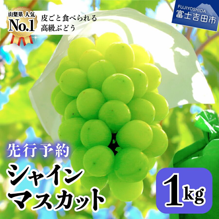 楽天市場 ふるさと納税 数量限定 シャインマスカット 山梨 産地直送 1kg 2房 山梨県産 フルーツ 果物 ぶどう 山梨県富士吉田市