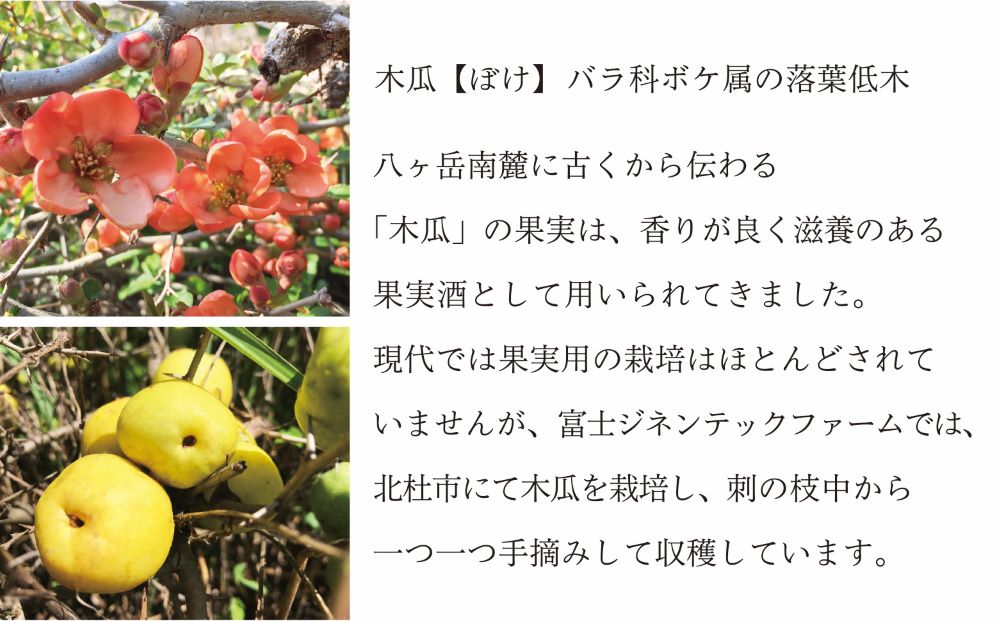 【ふるさと納税】リキュールぼけ酒金精300ml3本セット食前酒送料無料