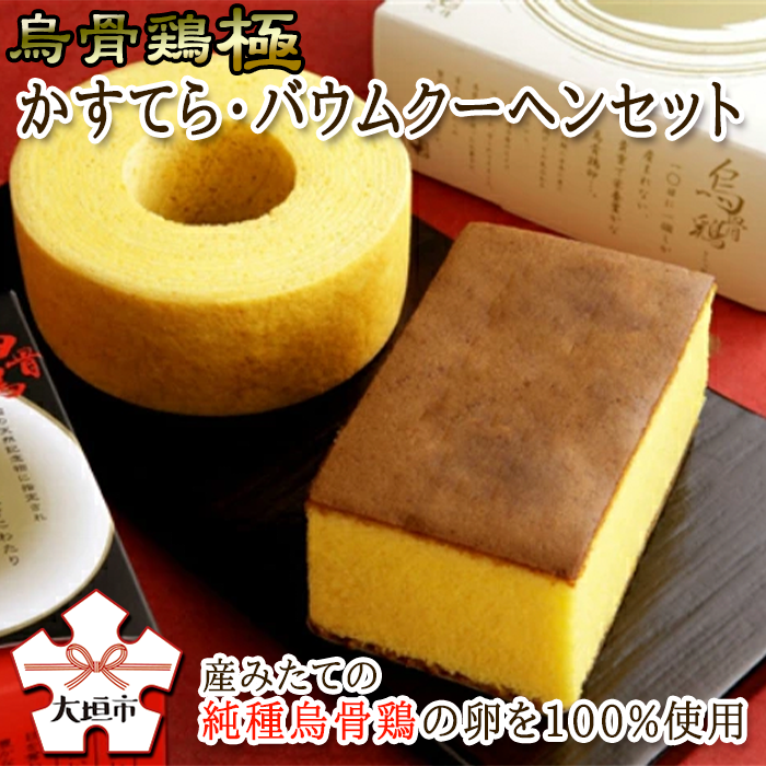 【ふるさと納税】烏骨鶏極 かすてら・バウムクーヘン セット高級 最高級 たまご 卵 玉子 お菓子 スイーツ カステラ バームクーヘン プレゼント ギフト 御土産 お土産 贈答 14000円 1万4千円 烏骨鶏本舗 岐阜県 大垣市