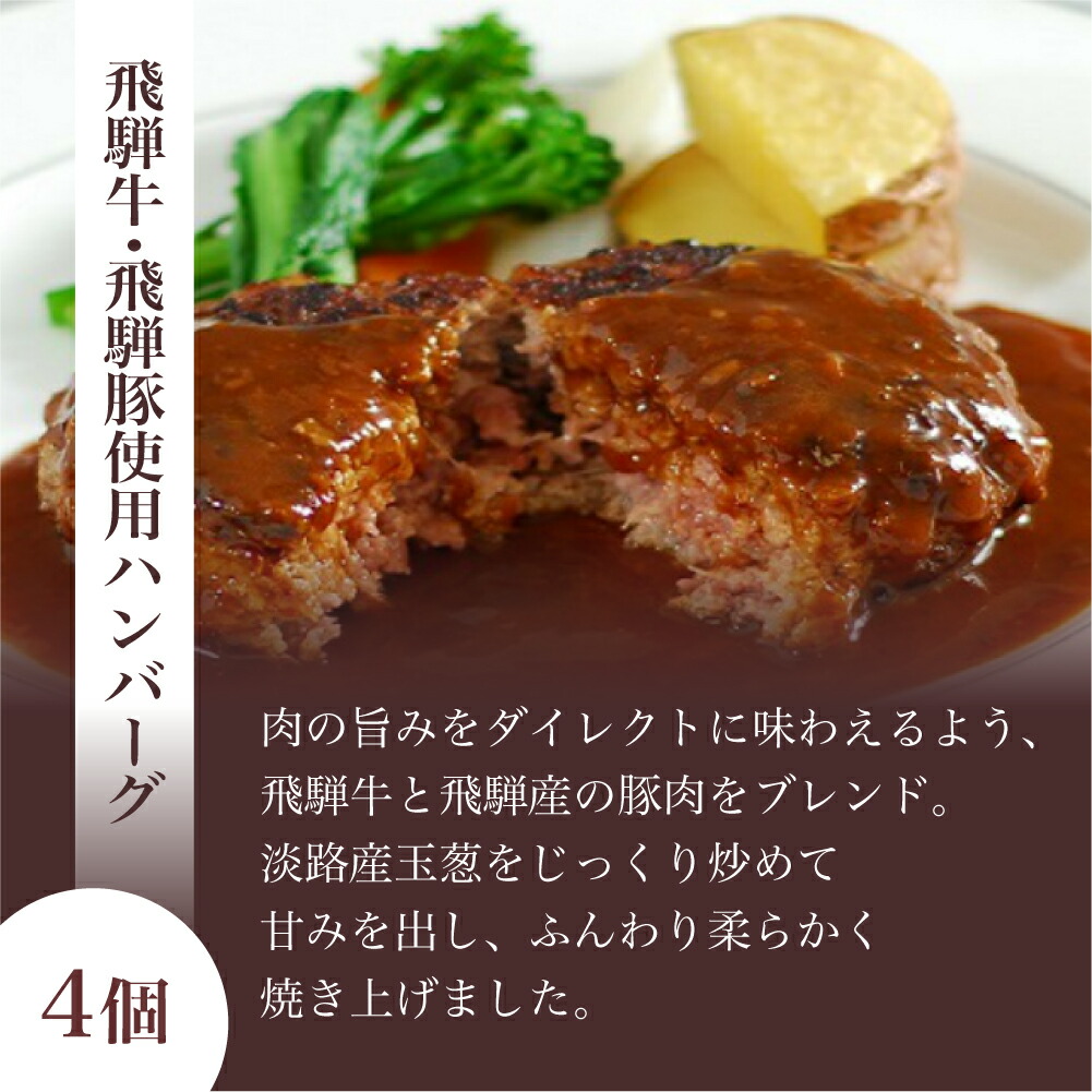 キッチン飛騨飛騨牛・飛騨豚使用ハンバーグとソーセージセットb513