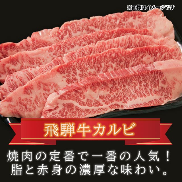 52%OFF!】 飛騨牛 飛騨豚 焼肉 セット 合計 1kg 国産 牛 豚 焼き肉 BBQ バーベキュー 29-950 b579 20000円  americanmeltblown.com