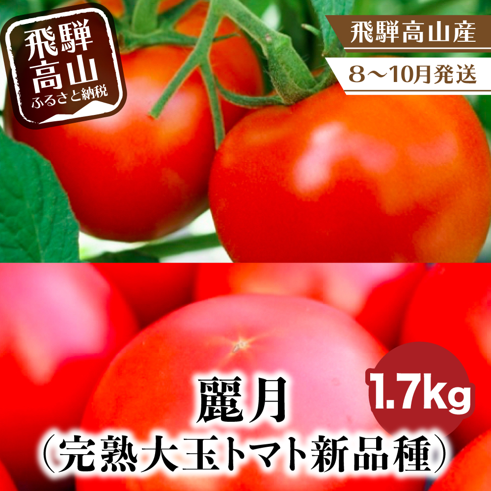 岐阜県産麗月トマト　混合サイズ