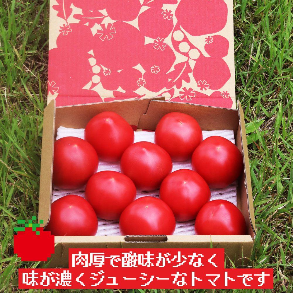旬の味をお届け 果肉が厚くてみずみずしい 飛騨高山産 1 3キロ箱 大玉トマト