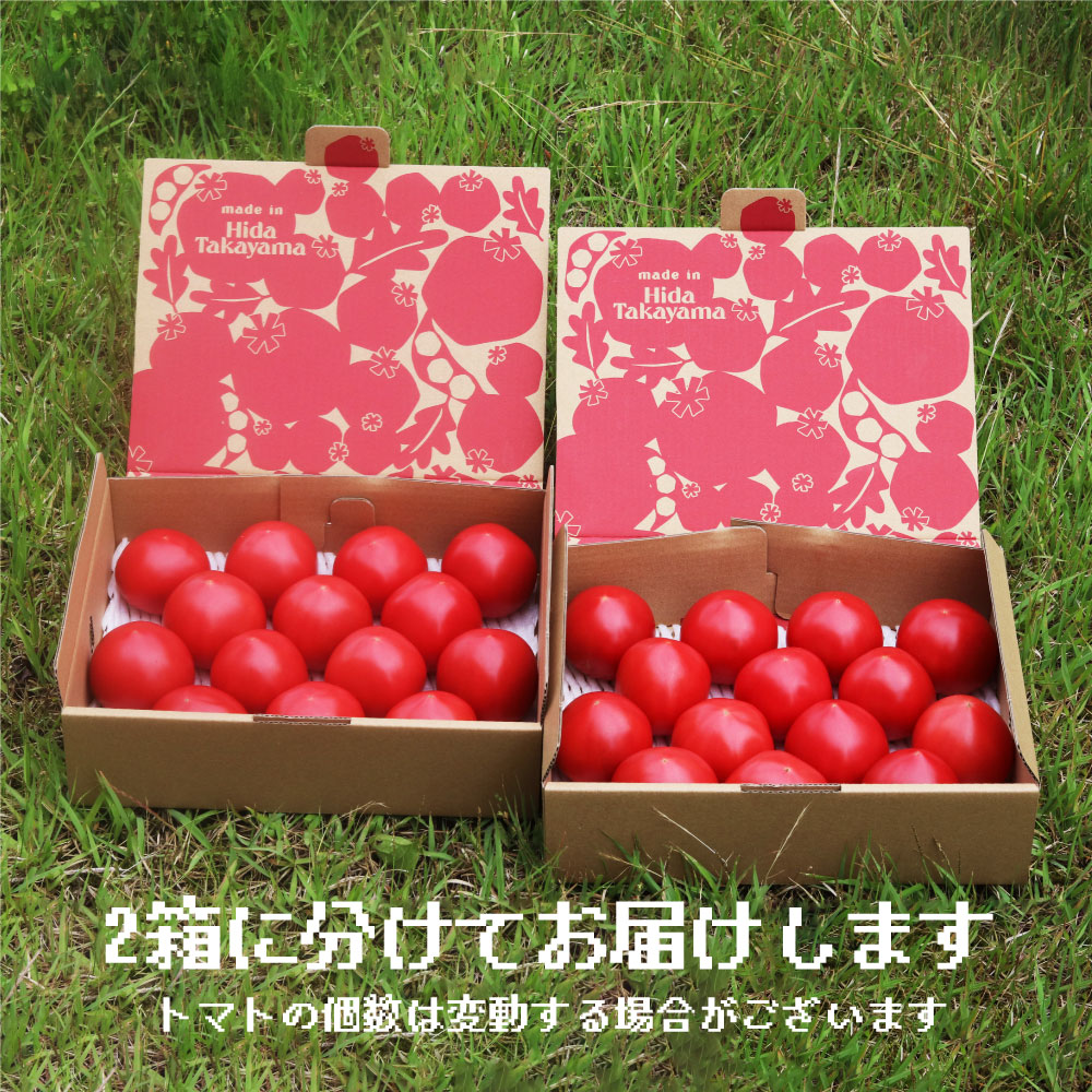 飛騨高山産 大玉トマト 2キロ×2箱 野菜 計4kg 産地直送 飛騨高山 麗月 