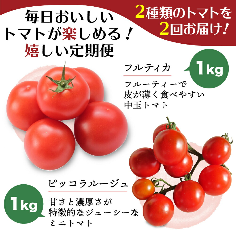 保障できる ふるさと納税 採れたて トマト ミニトマト 採れたて野菜 新鮮野菜 野菜 期間限定 定期便 飛騨高山 Tr3186 円 Biosolarenergy Com Co