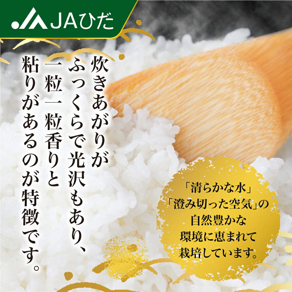 楽天市場 ふるさと納税 定期便 飛騨こしひかり パックご飯 150ｇ 3個 8袋 24食入 6ヶ月 お米 米 パック レトルトごはん こしひかり 飛騨 飛騨高山 特a レンジ 常備 備え 防災 ストック 保存食 E538 岐阜県高山市