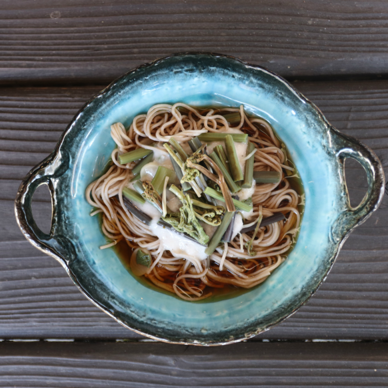 ふるさと納税 飛騨の麺三兄弟 3種18食 山菜3袋 飛騨ラーメン 山菜うどん そばの具 よもぎうどん 奥飛騨朴念そば うどん らーめん そば セット Q047 Mergertraininginstitute Com