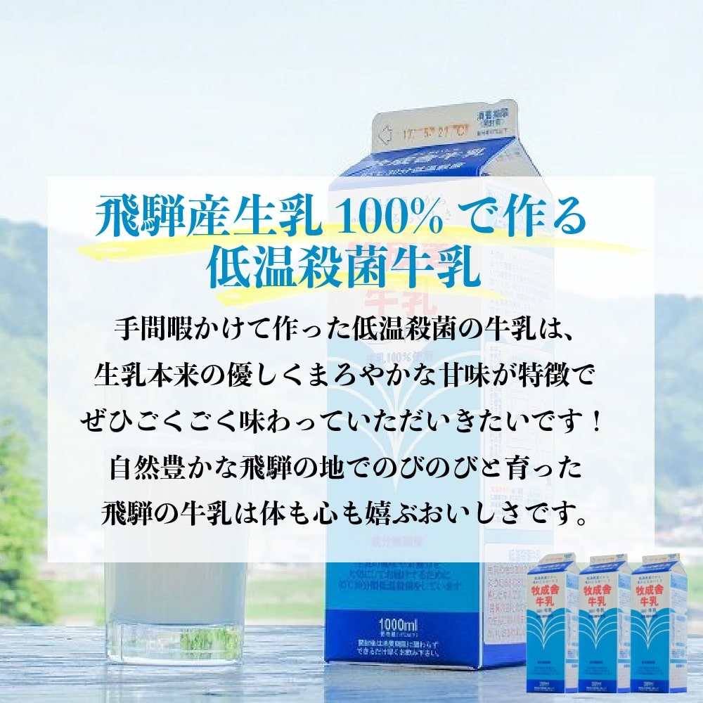 大人気! 《牧成舎》飲むヨーグルト 牛乳 毎月1回×6ヶ月お届け定期便 低温殺菌牛乳 3本 無添加 飲むヨーグルト 2本 飛騨産生乳100%使用  定期便 お楽しみ Q128 36000円 dukeanddevines.com