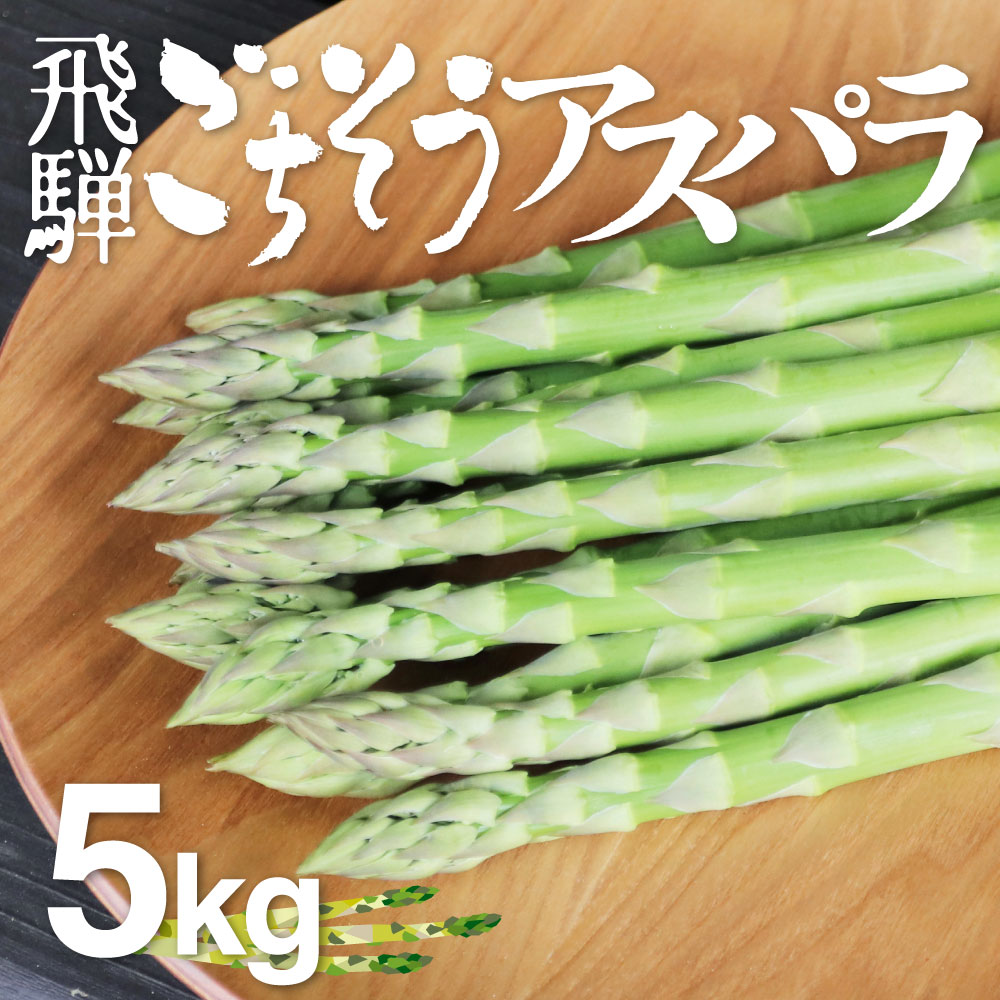 【ふるさと納税】《2026年産 先行予約》根本までムシャムシャ食べれるアスパラ 水村農園 飛騨のきれいな水と澄んだ空気が育んだ柔らか甘いアスパラガス アスパラ アスパラガス L~2L 5kg 大容量 [F0035x] 56000円｜岐阜県飛騨市