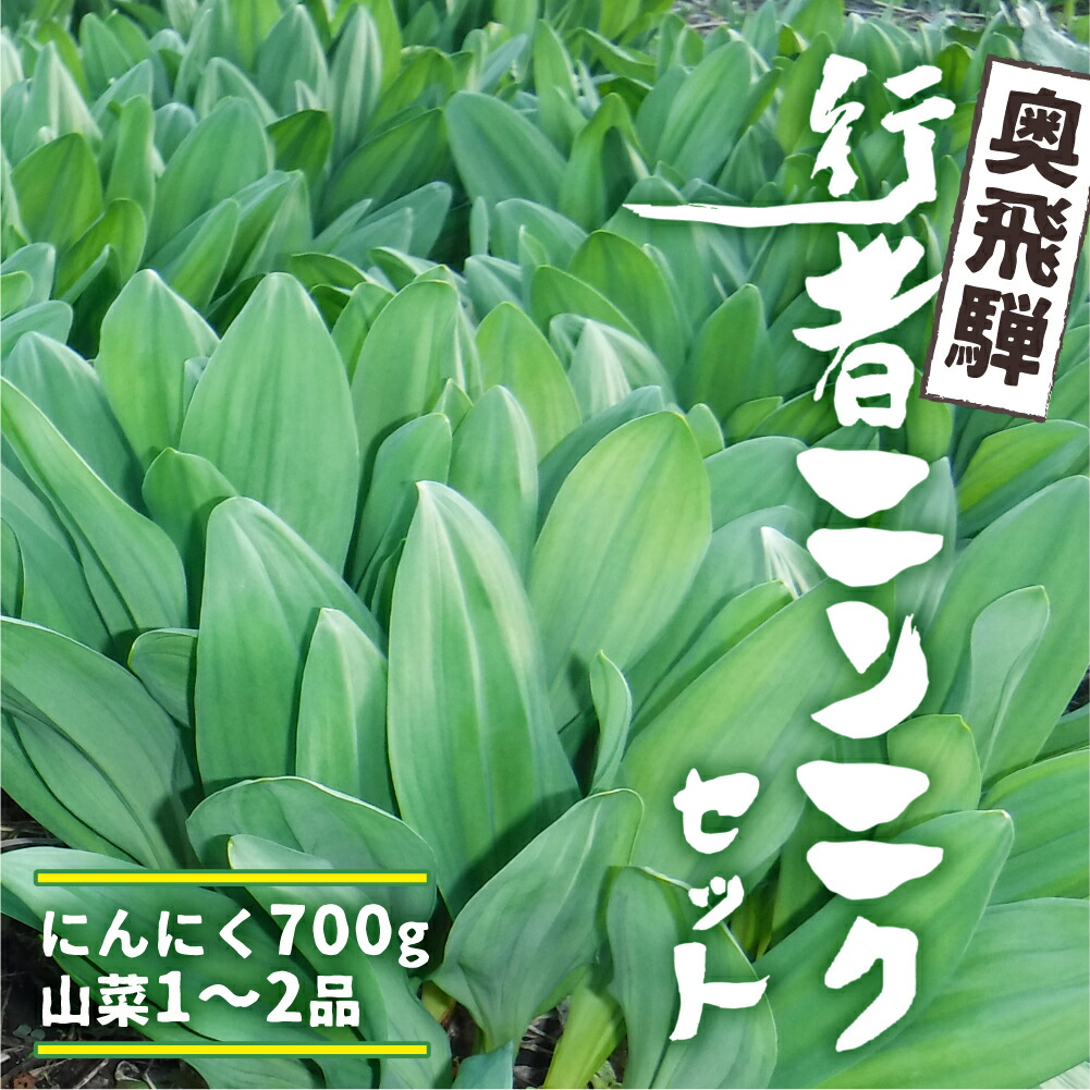 Web限定 奥飛騨産 とれたて新鮮 生行者ニンニク 700g 行者ニンニク 行者にんにく 醤油漬け Q655 ポイント10倍 Madah Kemdikbud Go Id