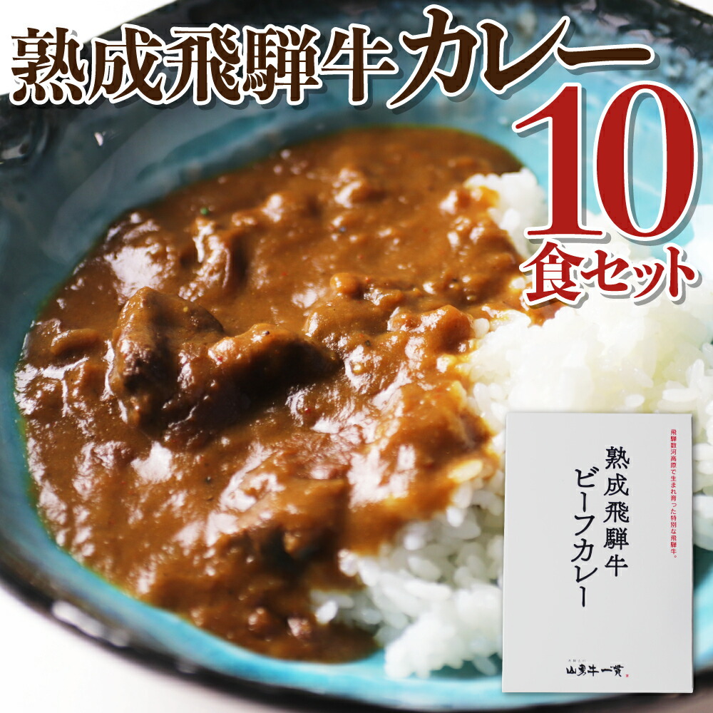 【ふるさと納税】熟成飛騨牛カレー　10食セット コロナ 事業者応援 巣ごもり 観光地応援 肉 熨斗掛け［D0034pi］40000円