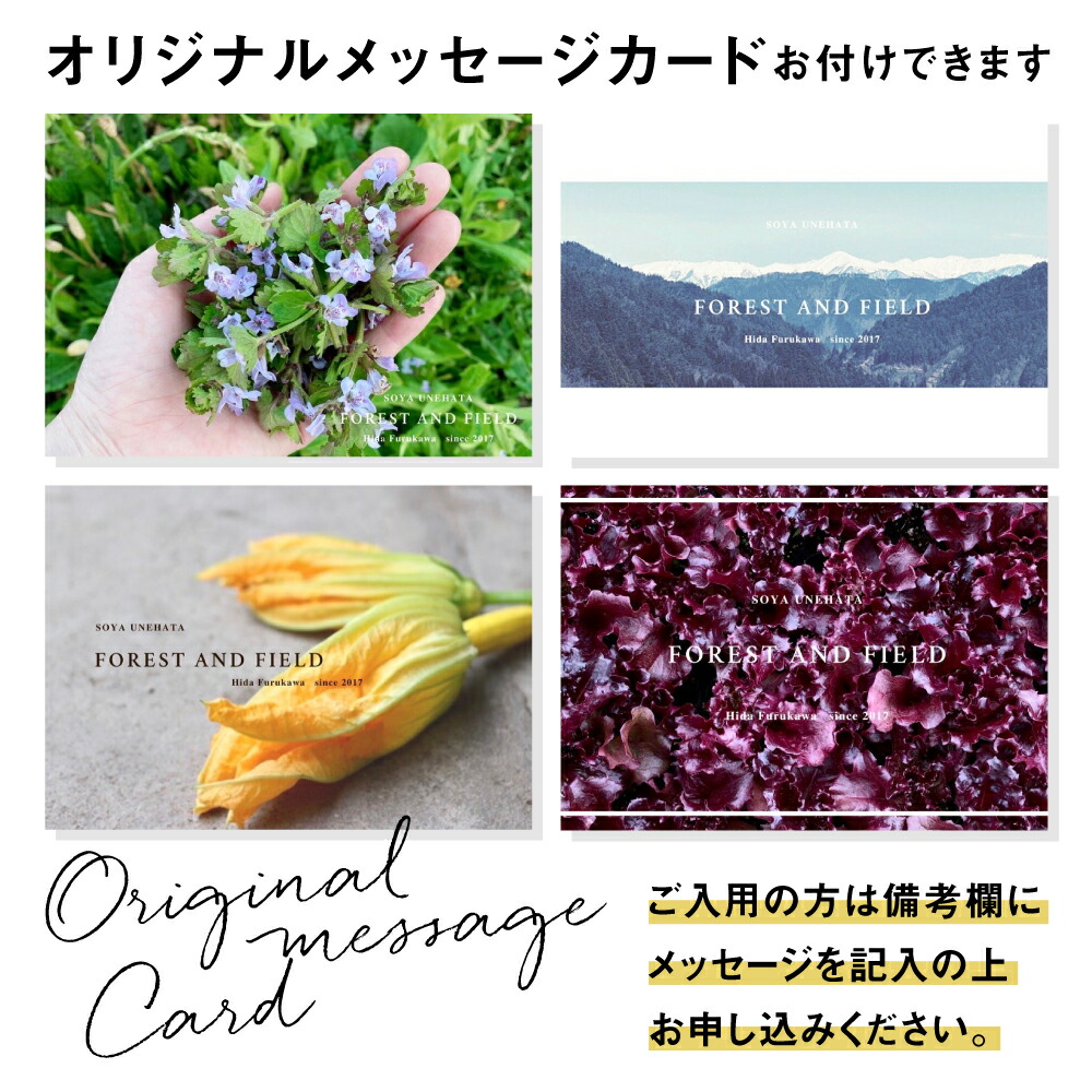 ふるさと納税 野菜セット 5 6品 自然栽培 野菜box Sサイズ 夏野菜 ピーマン ナス きゅうり オクラ ズッキーニ A0092 Clinicalaspalmeras Com