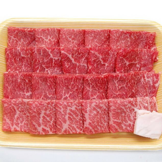 【ふるさと納税】飛騨市産 5等級飛騨牛 焼肉用 500g ギフト 熨斗掛け 贈答 [Q353]｜岐阜県飛騨市