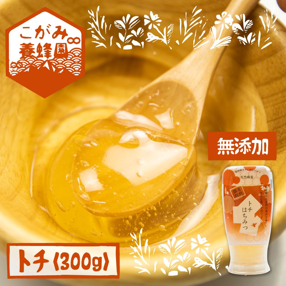 【ふるさと納税】飛騨産 生蜂蜜 トチ蜜 300g 国産無添加 とち蜜 はちみつ ギフト ハニー 非加熱[Q1197wx] 《hida0307》