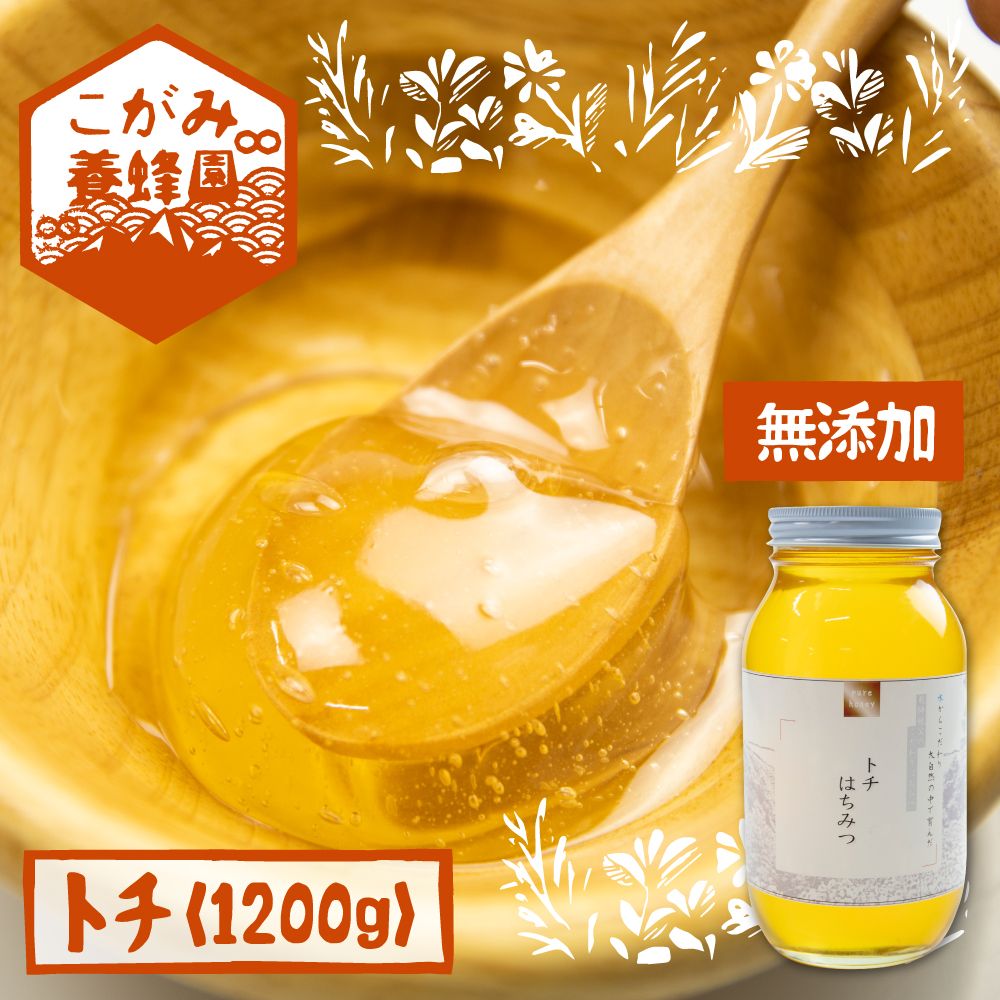 宅送 飛騨産 生蜂蜜 トチ蜜 10g 国産無添加 とち蜜 はちみつ ギフト ハニー 非加熱 Q473 公式 Charterconveyancing Com Au