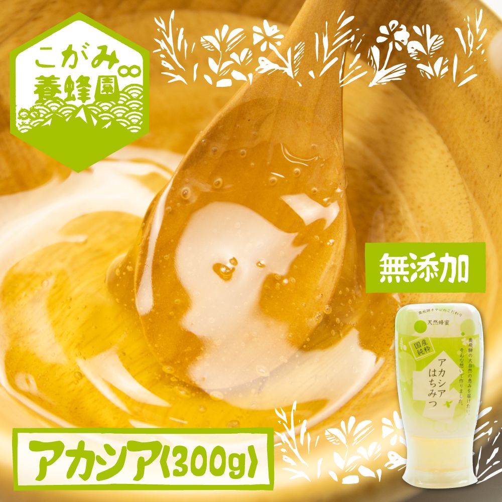 【ふるさと納税】飛騨産 生蜂蜜 アカシア蜜 300g 国産無添加 はちみつ ギフト ハニー 非加熱[Q1199wx] 《hida0307》