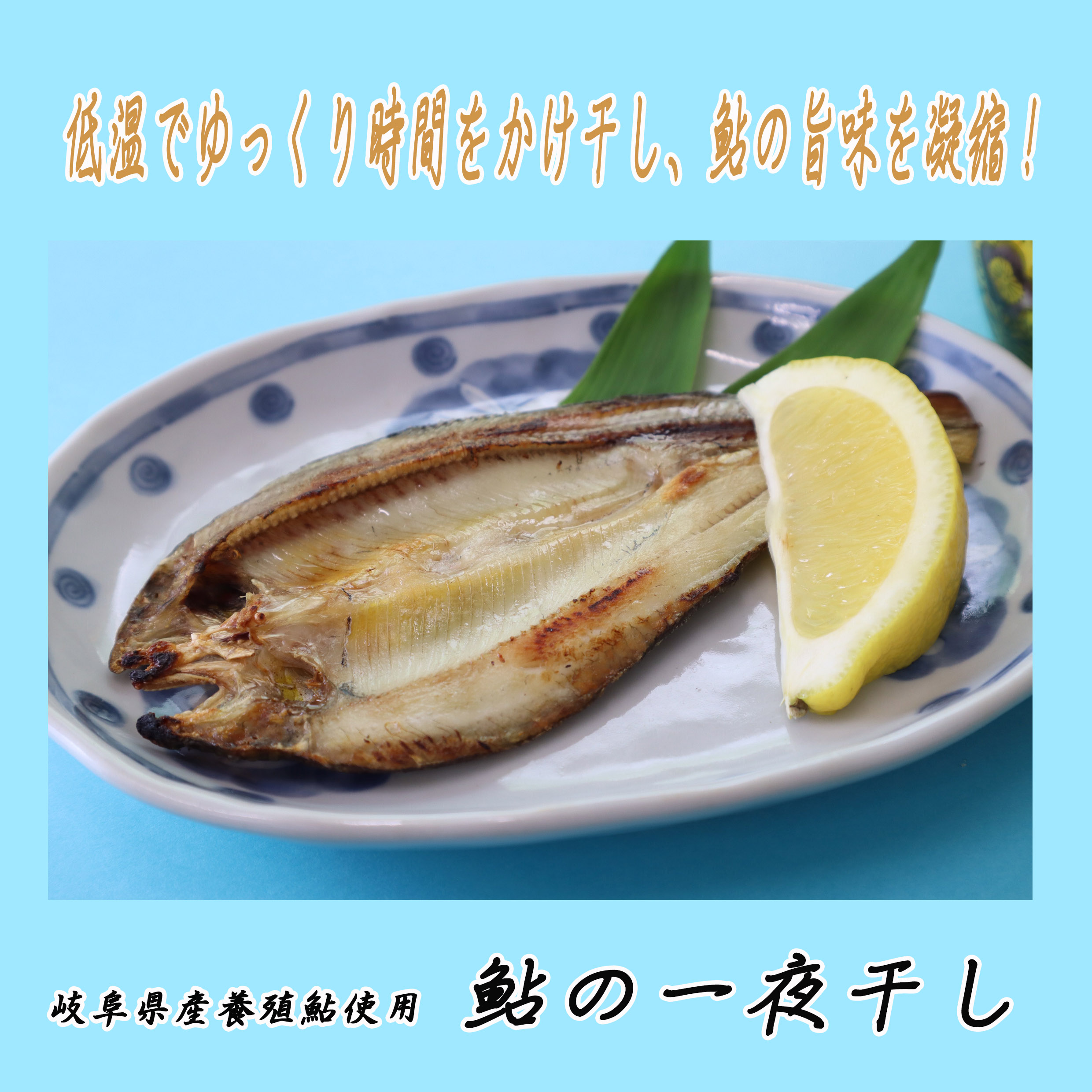 ふるさと納税 鮎の塩焼きと鮎の一夜干しセット あゆ アユ 鮎 岐阜県産 川魚 レンジでチン 簡単 お手軽 Q712 Highsoftsistemas Com Br