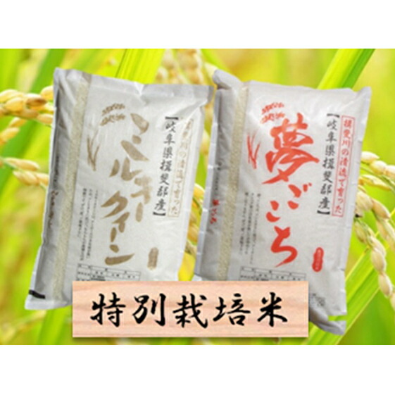 値引 特別栽培米 白米10kg ミルキークイーン 夢ごこち 米 お米 ミルキークイーン お届け 年10月 全品送料無料 Reuvenjepsteinlaw Com 値引 特別栽培米 白米10kg ミルキークイーン 夢ごこち 米 お米 ミルキークイーン お届け 年10月 全品送料無料 Reuvenjepsteinlaw Com